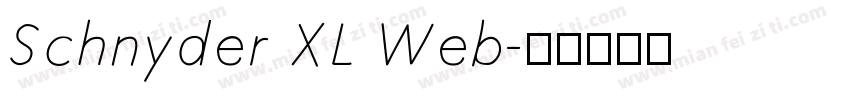 Schnyder XL Web字体转换